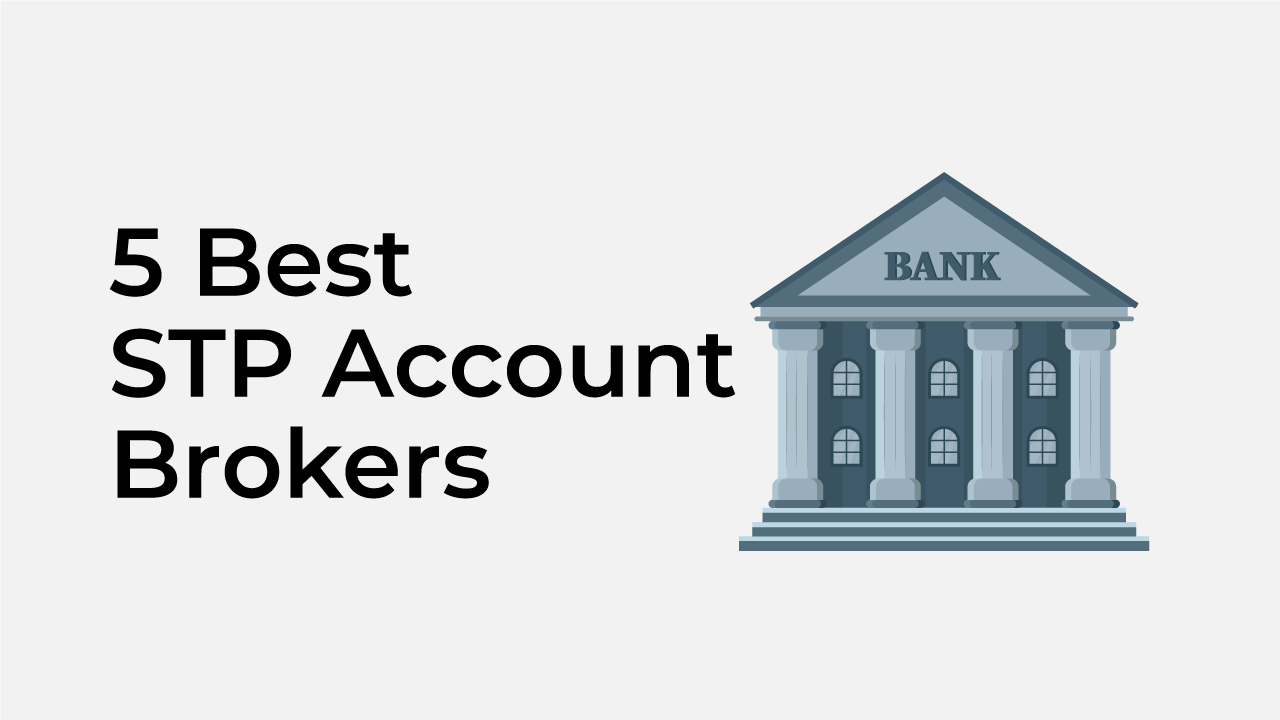 Best STP Brokers