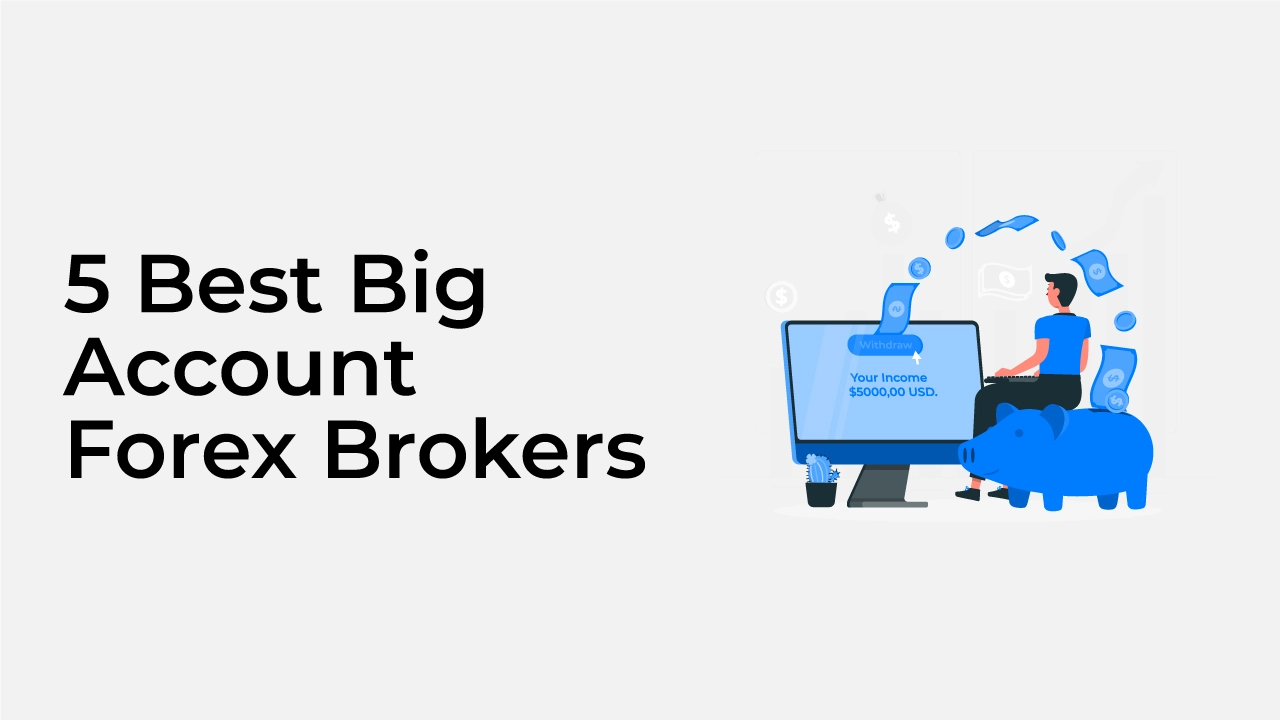 Best Big Account Forex Brokers Review