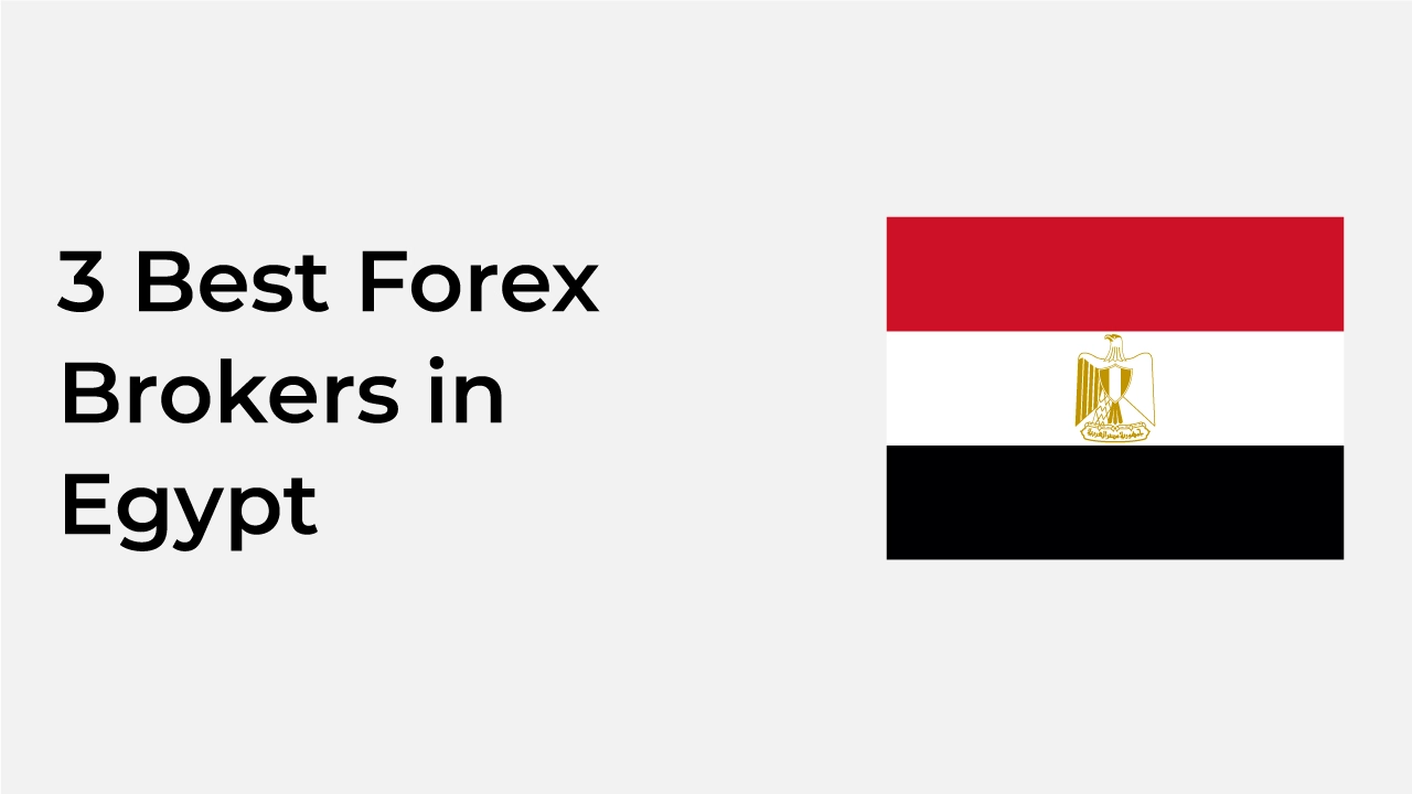 Reliable Forex Brokers for Egypt